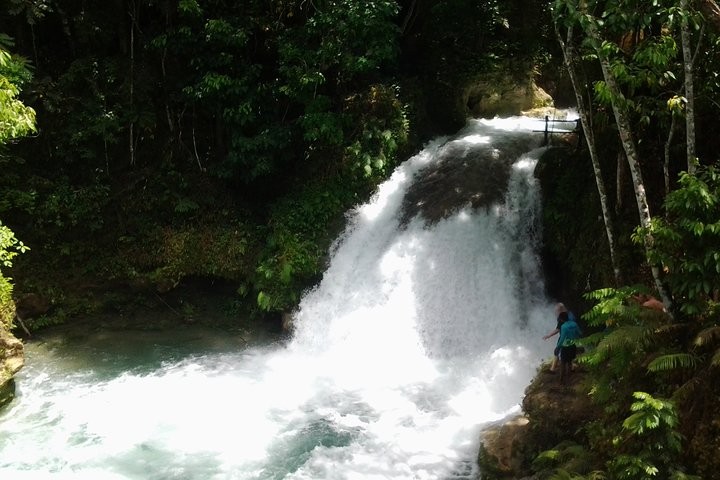 Blue Hole Adventure with Horseback Riding from Montego Bay - Image 4