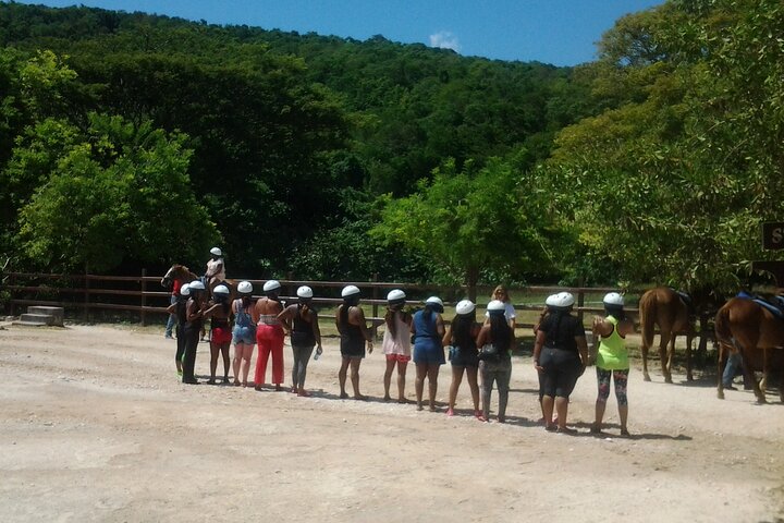 Blue Hole Adventure with Horseback Riding from Montego Bay - Image 5