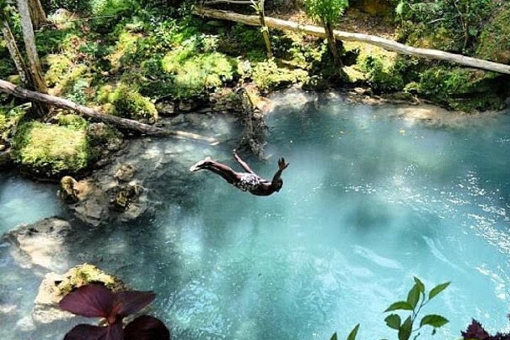 Blue Hole and River Gully Rainforest Adventure Tour from Falmouth - Image 4