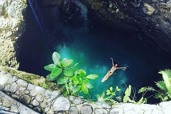 Blue Hole Mineral Spring and Herb Farm Private Tour - Image 3