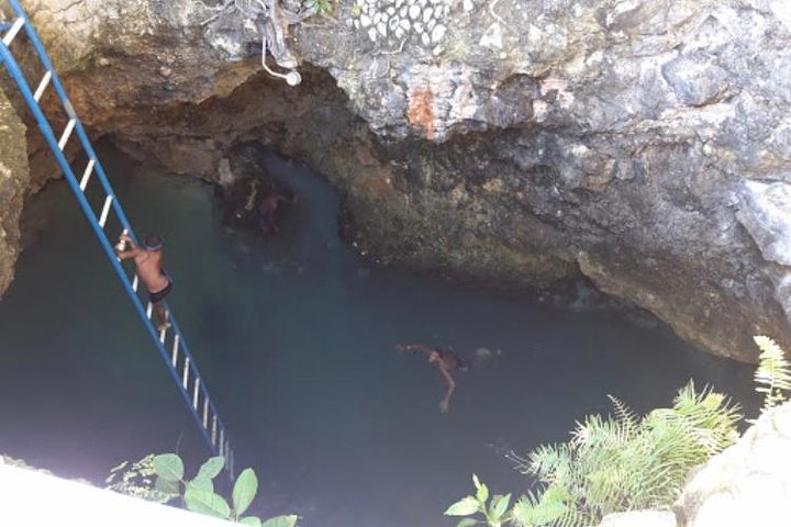 Blue Hole Mineral Spring and Herb Farm Private Tour - Image 4
