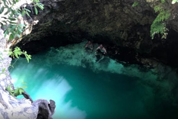 Blue Hole Mineral Spring and Herb Farm Private Tour - Image 2