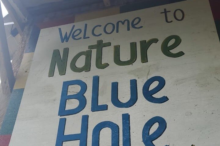  Blue Hole Mineral Spring Swimming in Ocho Rios - Image 2