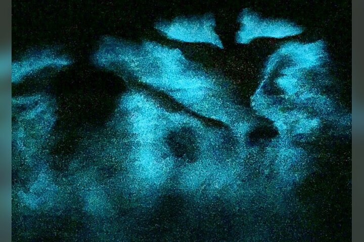 Blue Hole, Scotchies & Luminous Lagoon (Glistening Waters) 3 in 1 Combo - Image 5