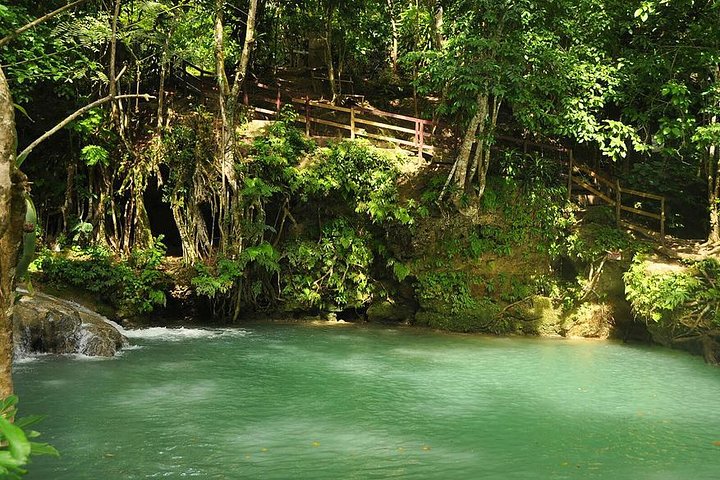 Blue Hole Tour from Montego Bay  - Image 4
