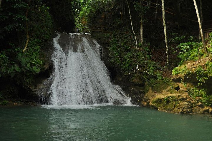 Blue Hole Tour from Montego Bay  - Image 5
