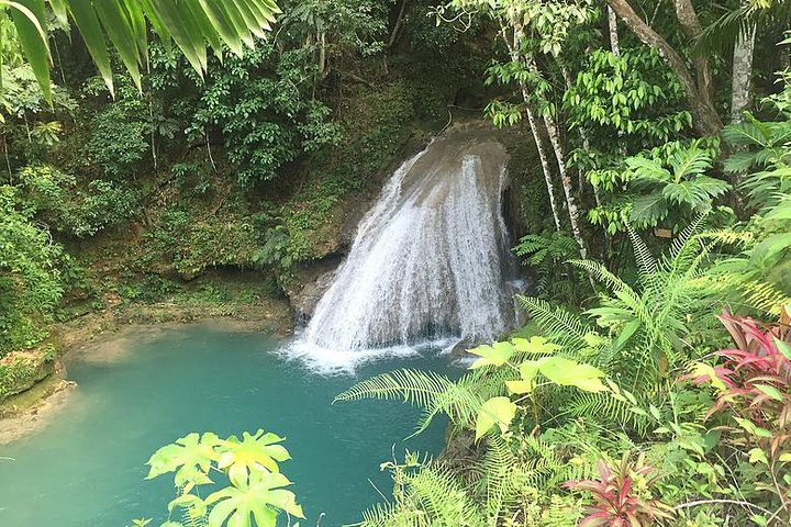 Blue Hole Tour from Montego Bay  - Image 3