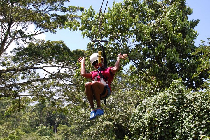 Blue Hole, Zipline and Dunn's River Falls from Falmouth - Image 3