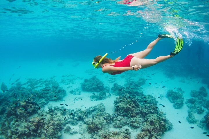 Boatride/Snorkeling and Margaritaville in Montego Bay Activity  - Image 5