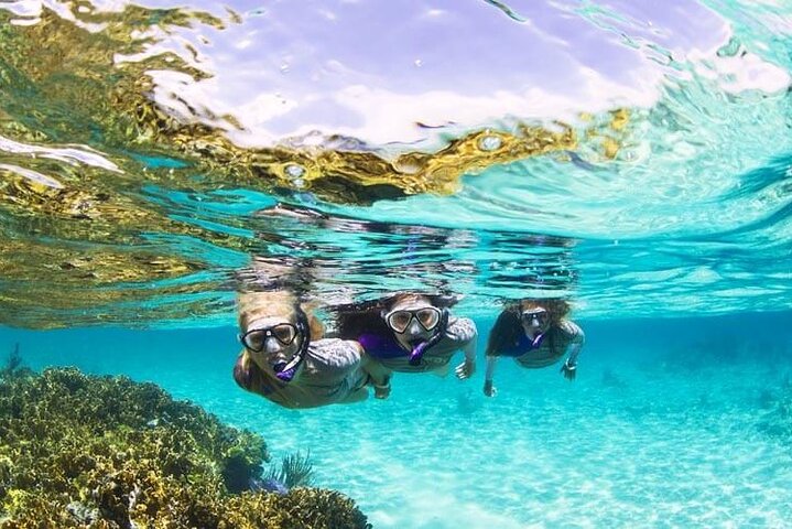 Boatride/Snorkeling and Margaritaville in Montego Bay Activity  - Image 4