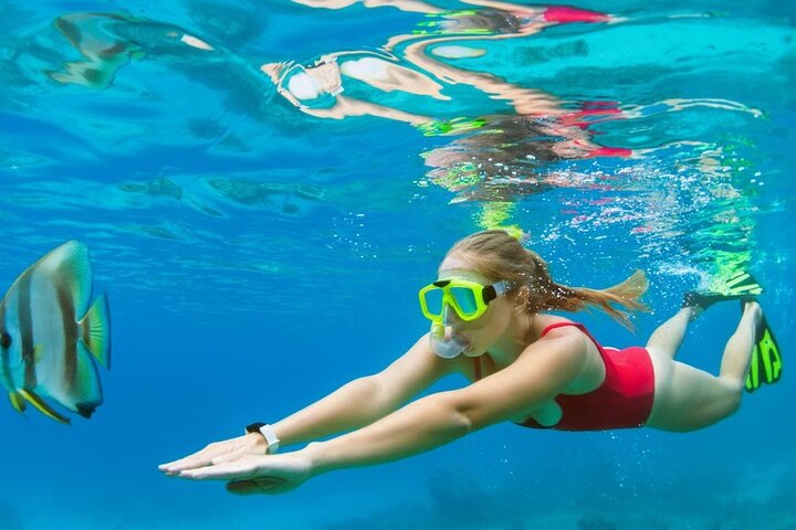 Boatride/Snorkeling and Margaritaville in Montego Bay Activity  - Image 3