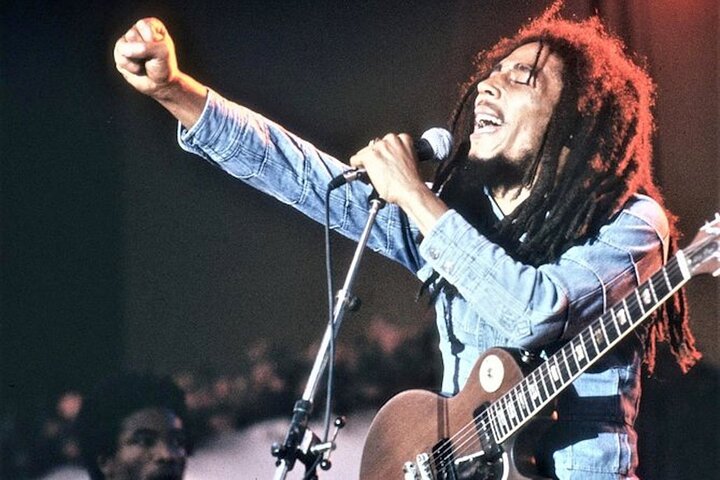 Bob Marley Culture and Dunn's River Falls Experience Montego Bay  - Image 4