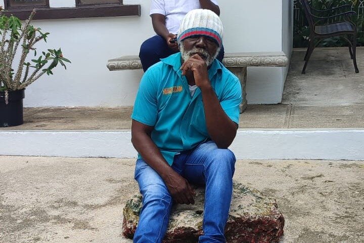 Bob Marley Nine Miles and Dunn's River Tour from Montego Bay with DToursJamaica. - Image 5