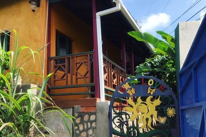 Bob Marley's Nine Mile Day-Trip with guided tour from Montego Bay - Image 5