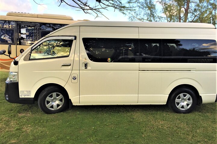 Catamaran & Dunn's River Falls Private transfer from Royalton White Sands/Blue W - Image 5