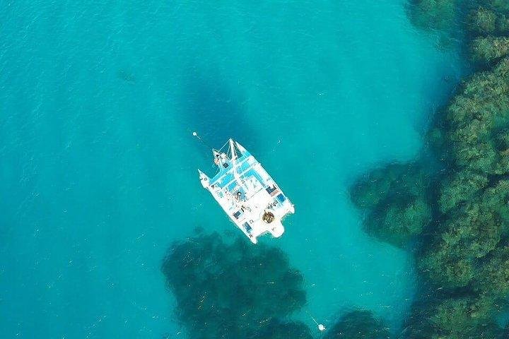 Catamaran, snorkeling & Dunn's River Falls  - Image 1