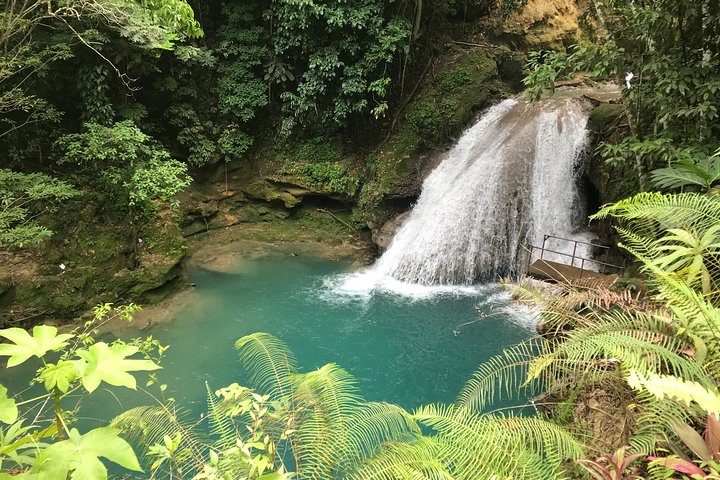 Combo Tour Dunn's River Falls and BlueTour from falmouth - Image 2