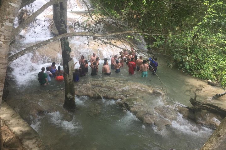 Combo Tour Dunn's River Falls and BlueTour from falmouth - Image 4