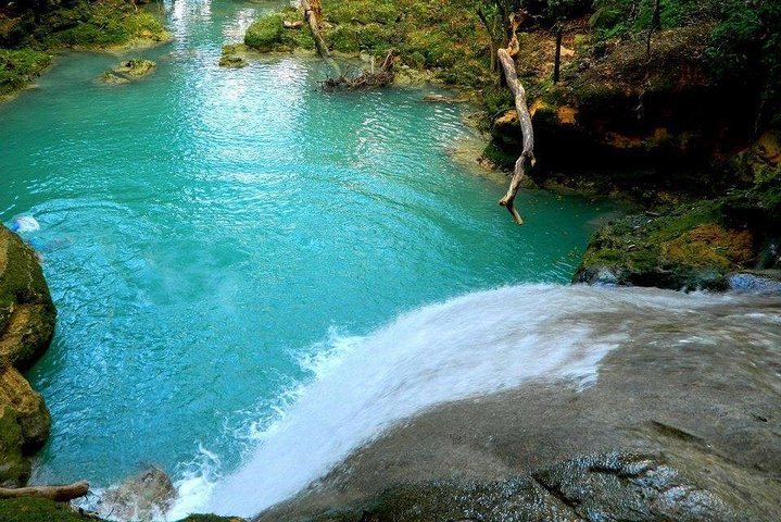 Combo Tour: Dunn's River Falls And Horse Back Riding - Image 3