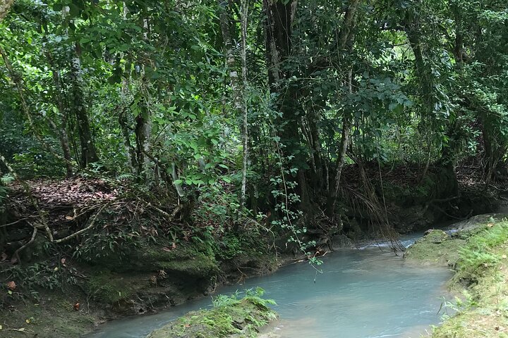 Day Trip to Blue Hole From Montego Bay - Image 3