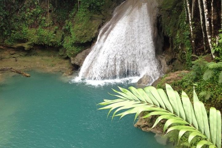 Day Trip to Blue Hole From Montego Bay - Image 2