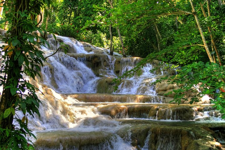 Day Trip to Dunn's River Falls from Montego Bay - Image 1