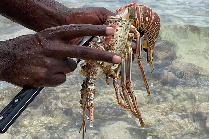 Day Trip to Negril from Montego Bay/Boat Ride to Booby Cay Island/Lobster Lunch - Image 2