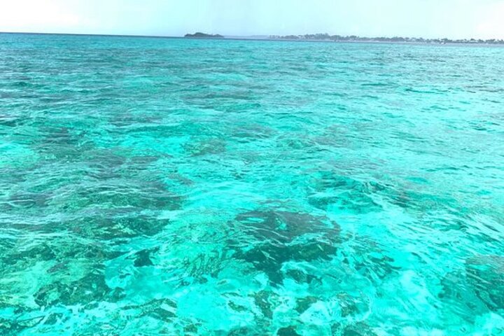 Doctors cave beach, Margaritaville,Glass bottom boat ride, and snorkeling combo - Image 3