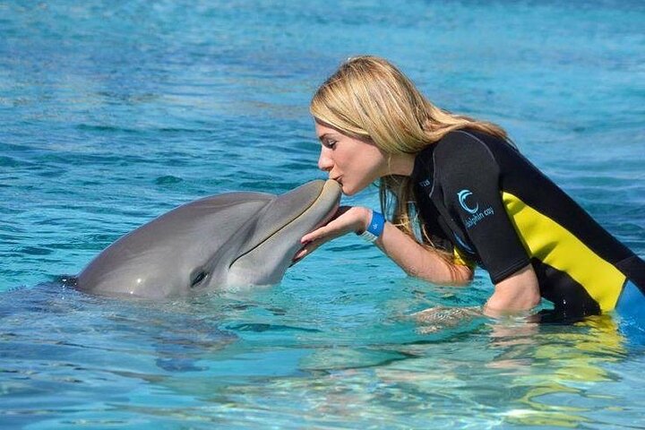 Dolphin Cove & Horseback Riding Adventures From Montego Bay - Image 1