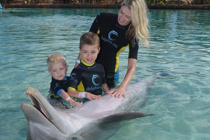 Dolphin Cove & Horseback Riding Adventures From Montego Bay - Image 2