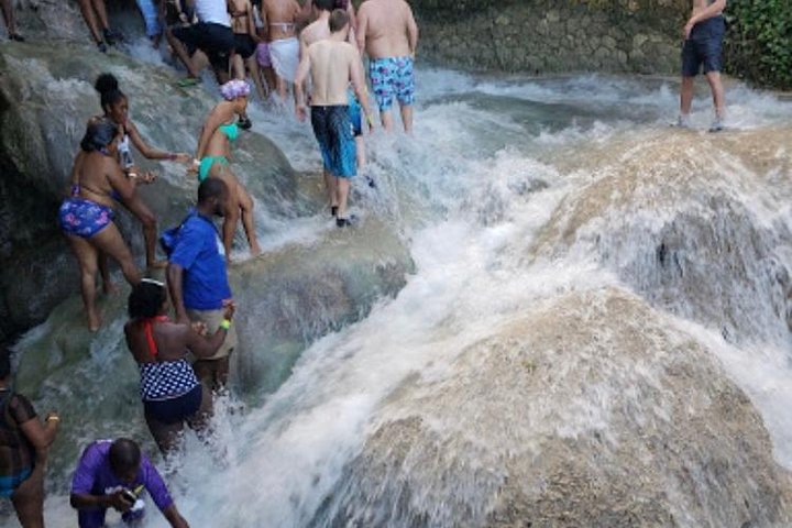 Dunns River Falls and Bob Marley Nine Mile Private Tour - Image 3