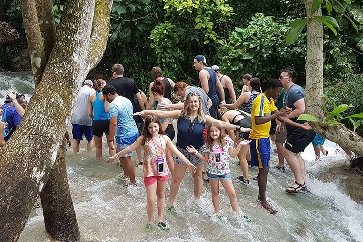 Dunn's River Falls and Fern Gully Highlight Adventure Tour from Falmouth - Image 4
