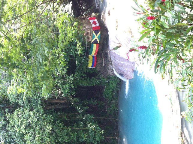 Dunn's River Falls and Jamaica Sightseeing Private Tour - Image 4
