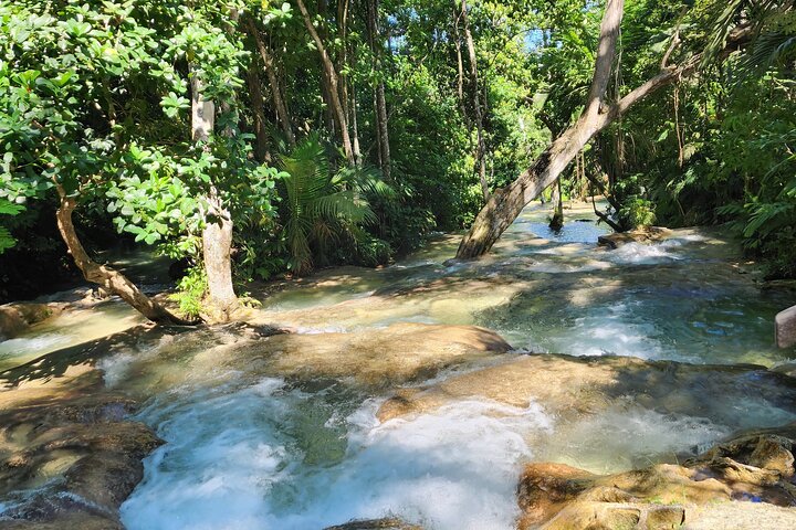 Dunn’s River Falls and Shopping from Montego Bay - Image 2