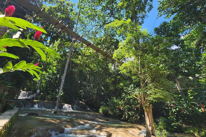Dunn’s River Falls and Shopping from Montego Bay - Image 4
