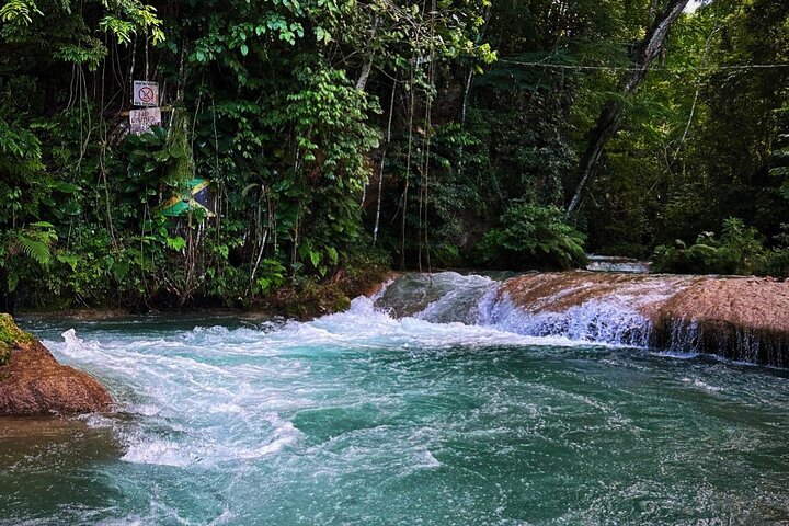 Dunns River Falls & Blue Hole Private COMBO Tour from Montego Bay - Image 2