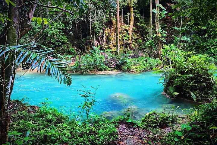 Dunns River Falls & Blue Hole Private COMBO Tour from Montego Bay - Image 1
