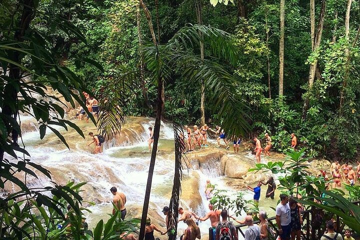 Dunns River Falls & Blue Hole Tour from Montego Bay - Image 2