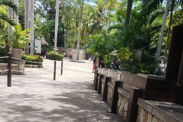 Dunns River Falls & Blue Hole Tour from Montego Bay - Image 3