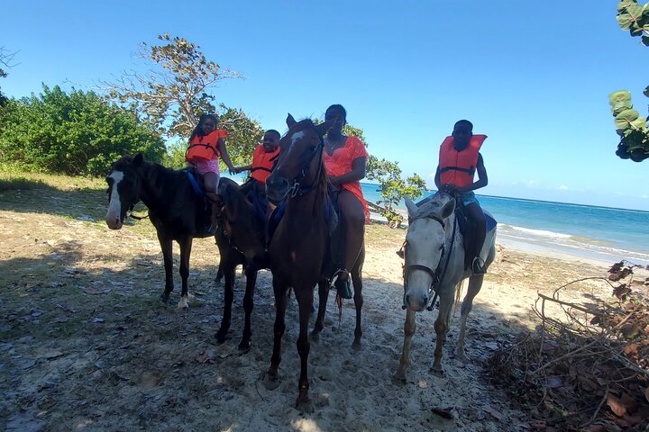 Dunn's River Falls Climb, Zipline and Horseback Riding Private Tour - Image 3