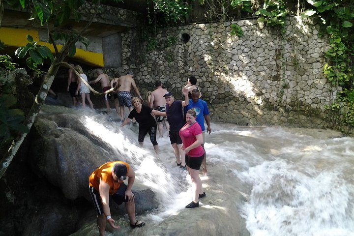 Dunn's River Falls excursion from Montego Bay - Image 3