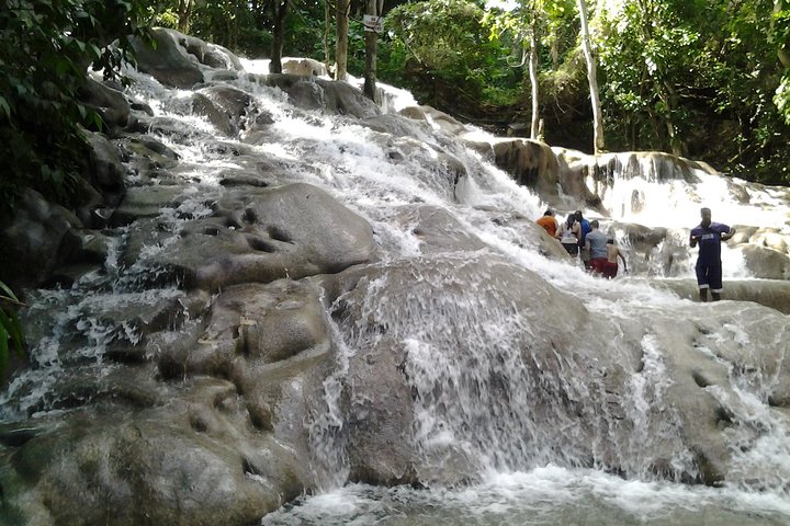Dunn's River Falls excursion from Montego Bay - Image 5