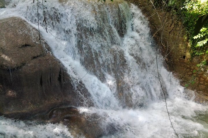 Dunn's River Falls excursion from Montego Bay - Image 4