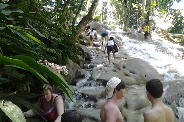 Dunn's River Falls excursion from Montego Bay - Image 2