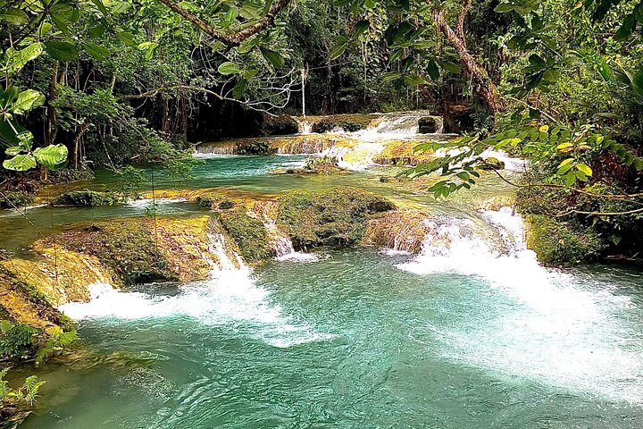Dunn’s River Falls Inclusive Tour From Montego Bay - Image 2