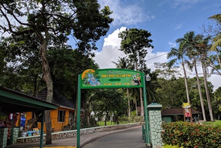 Dunn's River Falls Private Tour  - Image 5