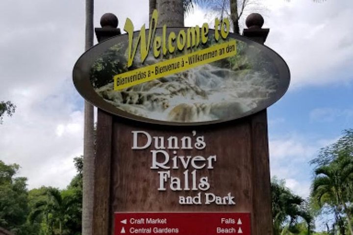 Dunn's River Falls Private Tour  - Image 2