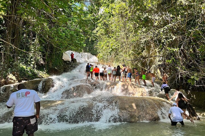 Dunns River Falls Private Tour ** {Admision Included }** - Image 4