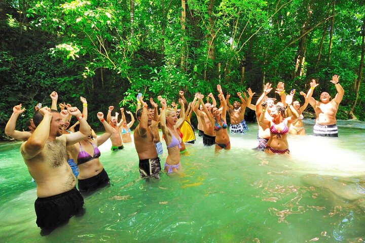 Dunn's River Falls, shopping and lunch - Image 3