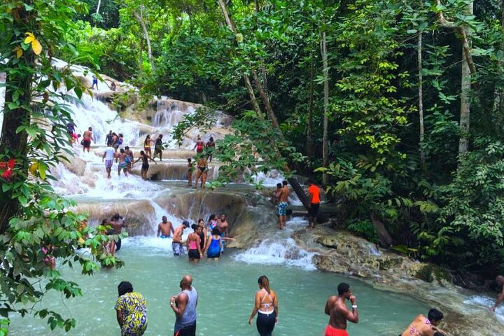 Dunn's River Falls Tour from Montego Bay Hotels - Image 2